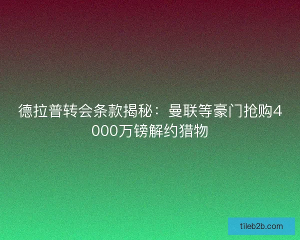 德拉普转会条款揭秘：曼联等豪门抢购4000万镑解约猎物