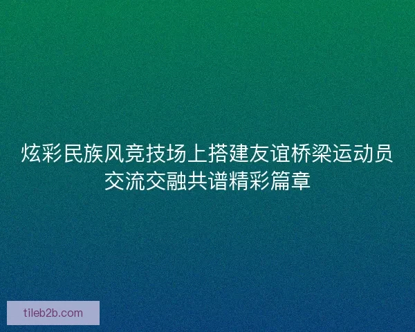 炫彩民族风竞技场上搭建友谊桥梁运动员交流交融共谱精彩篇章