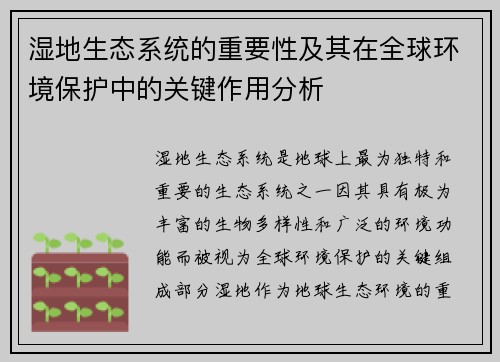湿地生态系统的重要性及其在全球环境保护中的关键作用分析 湿地生态系统的重要性及其在全球环境保护中的关键作用分析